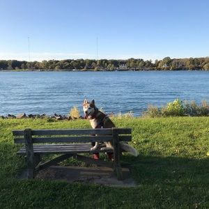 Meet your Posher, Yousif